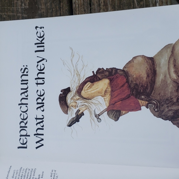 Leprechauns Legends and Irish Tales Book - Picture 4 of 6